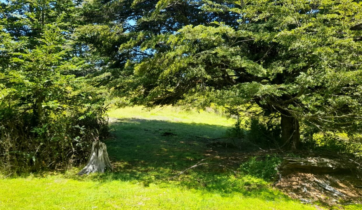Huife Trujillo parc.4